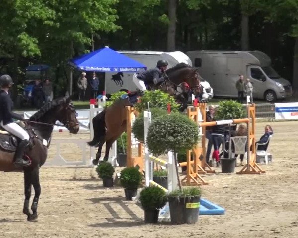Reitturnier Mönchengladbach-Wickrath 2016