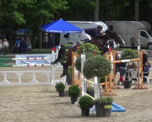 Reitturnier Mönchengladbach-Wickrath 2016