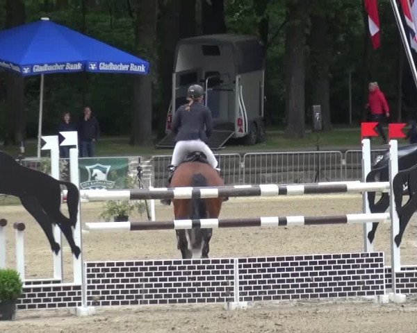 Reitturnier Mönchengladbach-Wickrath 2016