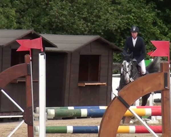 Reitturnier Frechen-Grefrath - Sonnenhof 2016