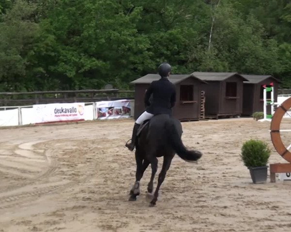 Reitturnier Frechen-Grefrath - Sonnenhof 2016