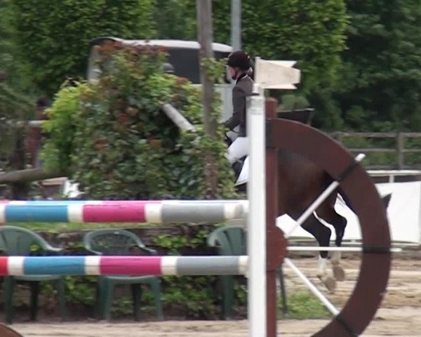 Reitturnier Frechen-Grefrath - Sonnenhof 2016