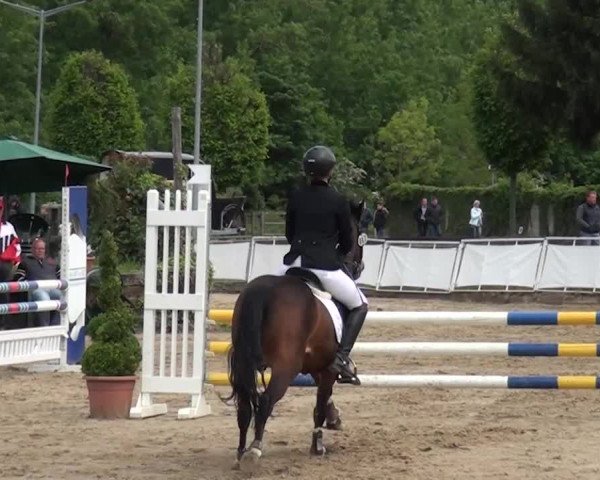 Reitturnier Frechen-Grefrath - Sonnenhof 2016