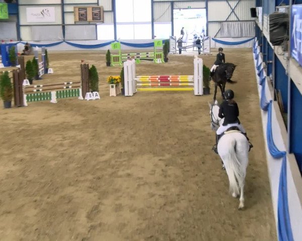 Reitturnier Buchs 2021