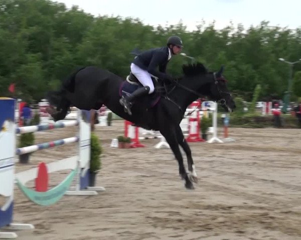 Reitturnier Frechen-Grefrath - Sonnenhof 2016