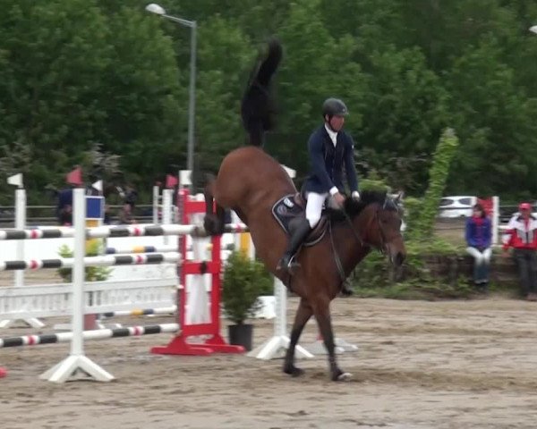 Reitturnier Frechen-Grefrath - Sonnenhof 2016