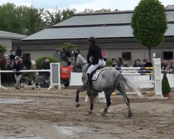 Reitturnier Frechen-Grefrath - Sonnenhof 2016
