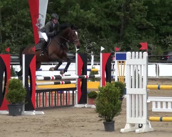 Reitturnier Frechen-Grefrath - Sonnenhof 2016