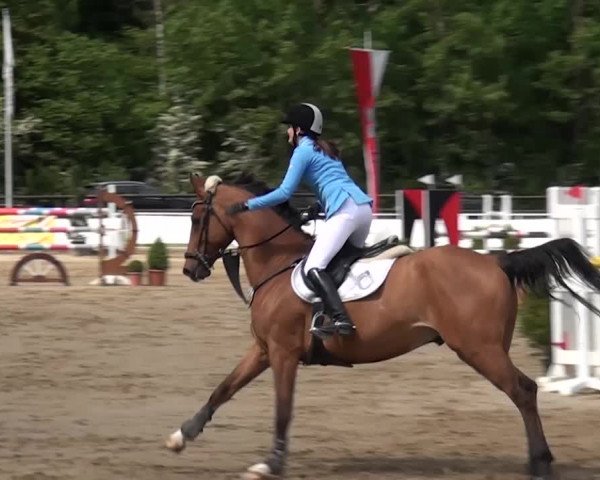 Reitturnier Frechen-Grefrath - Sonnenhof 2016