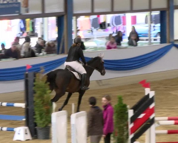 Reitturnier Buchs 2021