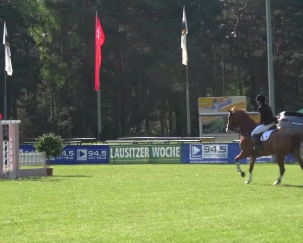Reitturnier Cottbus-Sielow 2016