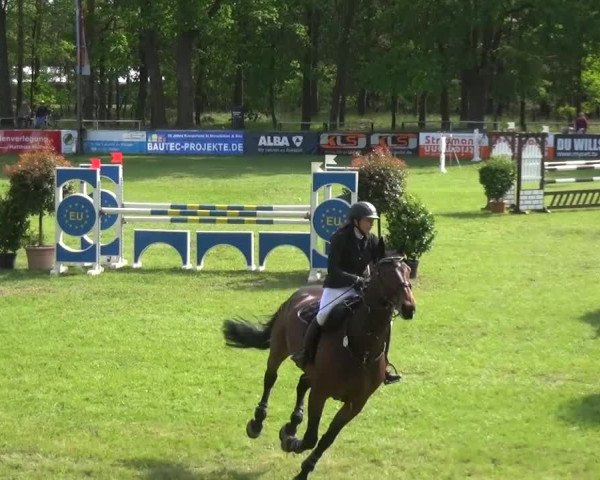 Reitturnier Cottbus-Sielow 2016