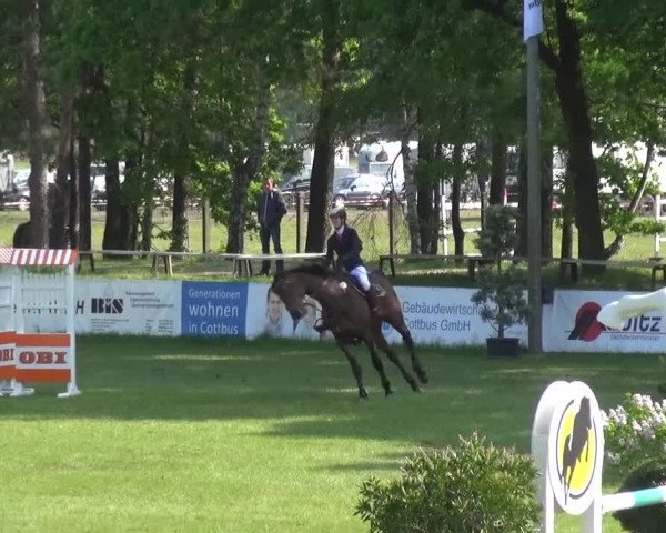 Reitturnier Cottbus-Sielow 2016
