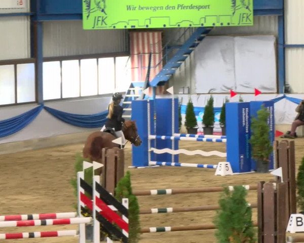 Reitturnier Buchs 2021