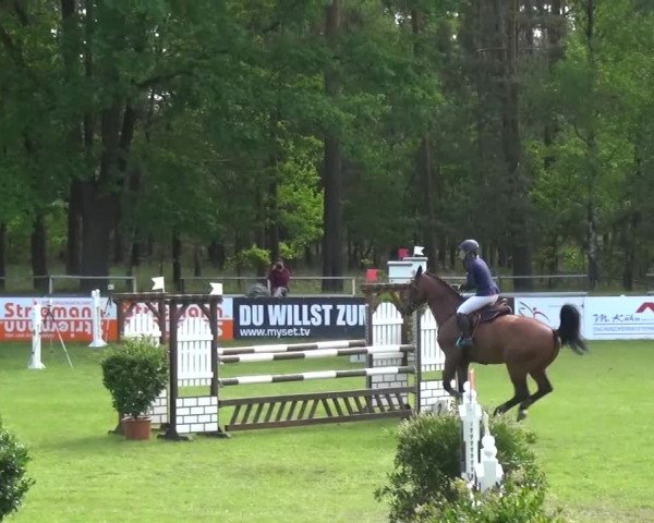 Reitturnier Cottbus-Sielow 2016