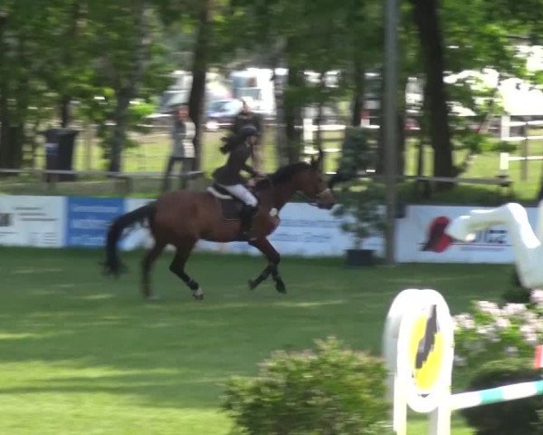 Reitturnier Cottbus-Sielow 2016
