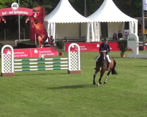 Reitturnier Cottbus-Sielow 2016