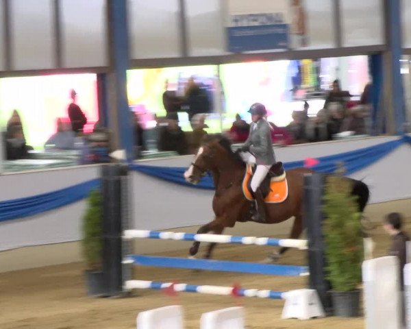 Reitturnier Buchs 2021