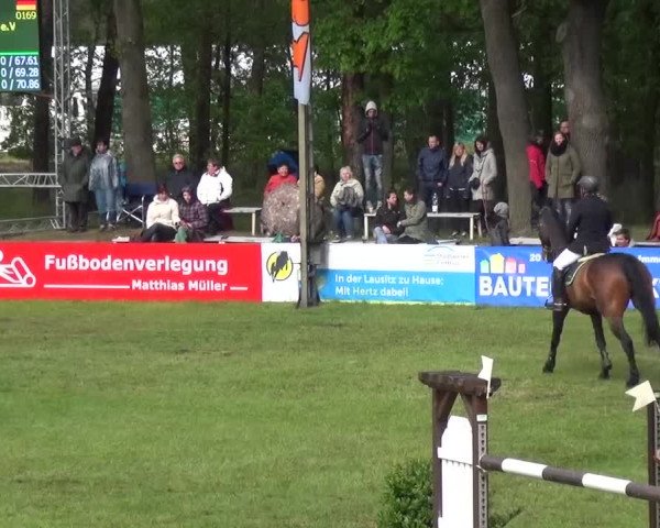 Reitturnier Cottbus-Sielow 2016