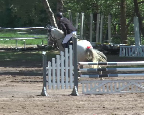 Reitturnier Mettingen 2016