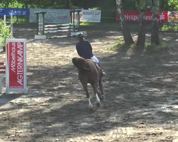 Reitturnier Mettingen 2016
