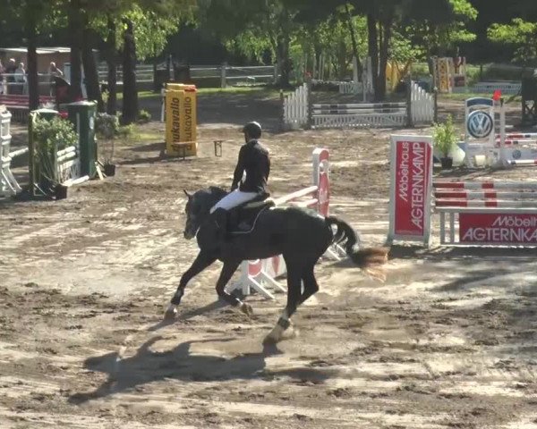 Reitturnier Mettingen 2016