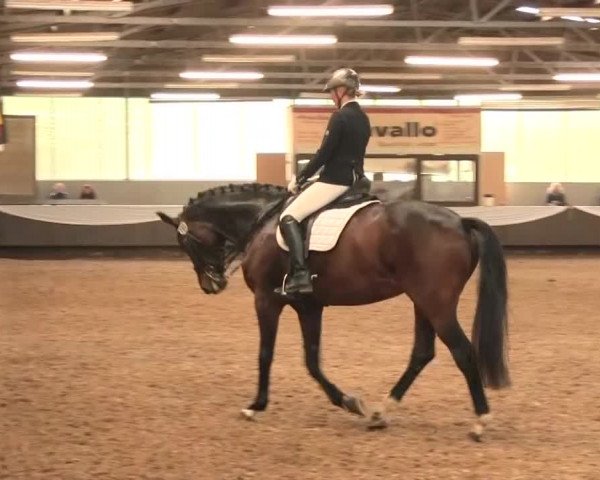 Reitturnier Bochum-Nord 2016