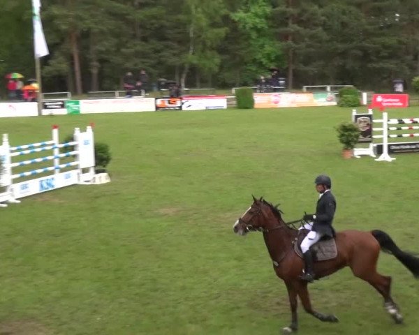 Reitturnier Cottbus-Sielow 2016