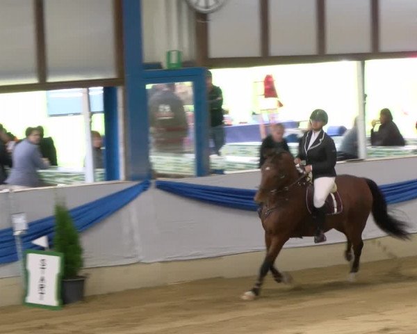 Reitturnier Buchs 2021
