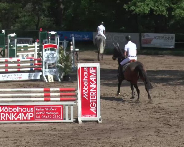 Reitturnier Mettingen 2016