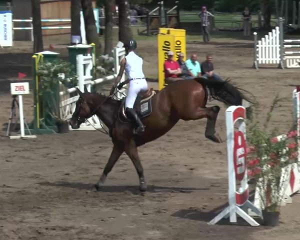 Reitturnier Mettingen 2016
