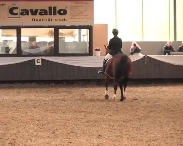 Reitturnier Bochum-Nord 2016