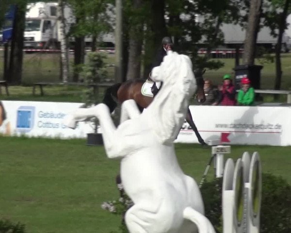 Reitturnier Cottbus-Sielow 2016