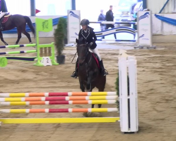 Reitturnier Buchs 2021