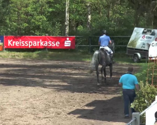 Reitturnier Mettingen 2016