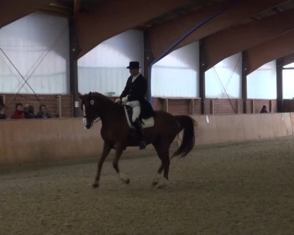 Reitturnier Iserlohn-Kalthof 2016