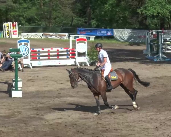 Reitturnier Mettingen 2016