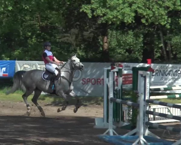 Reitturnier Mettingen 2016