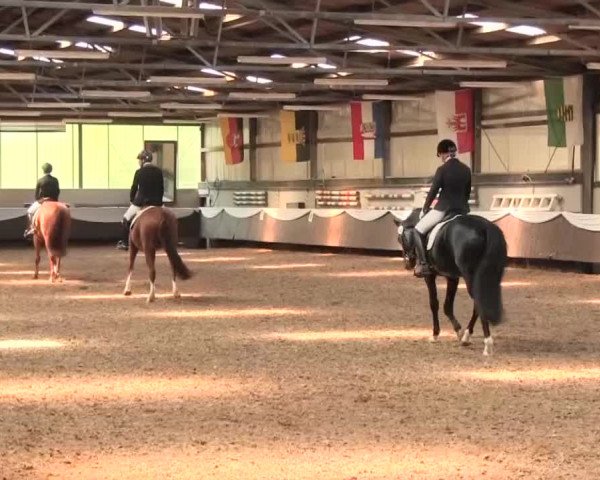 Reitturnier Bochum-Nord 2016
