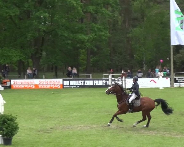 Reitturnier Cottbus-Sielow 2016