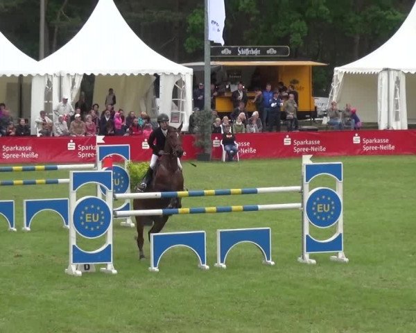 Reitturnier Cottbus-Sielow 2016