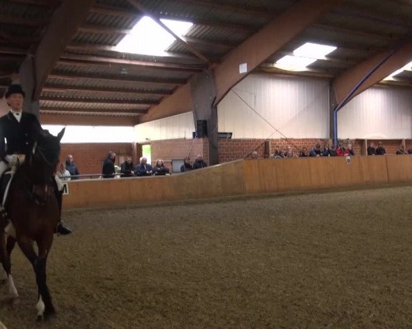 Reitturnier Iserlohn-Kalthof 2016