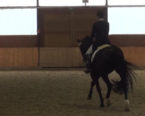 Reitturnier Iserlohn-Kalthof 2016