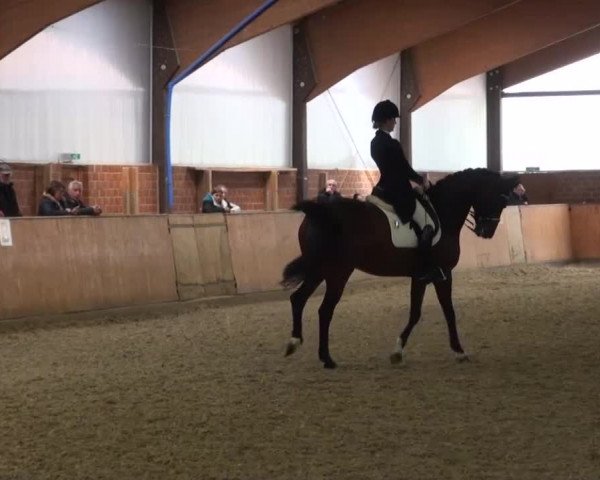 Reitturnier Iserlohn-Kalthof 2016