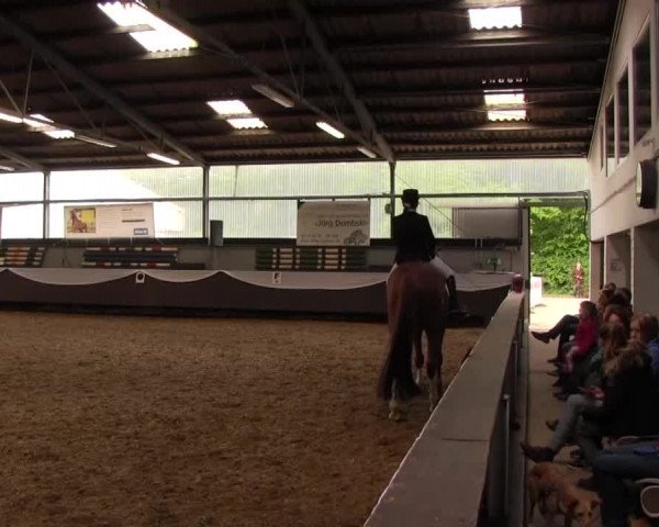 Reitturnier Bochum-Nord 2016
