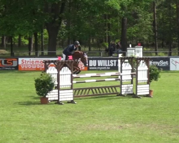 Reitturnier Cottbus-Sielow 2016