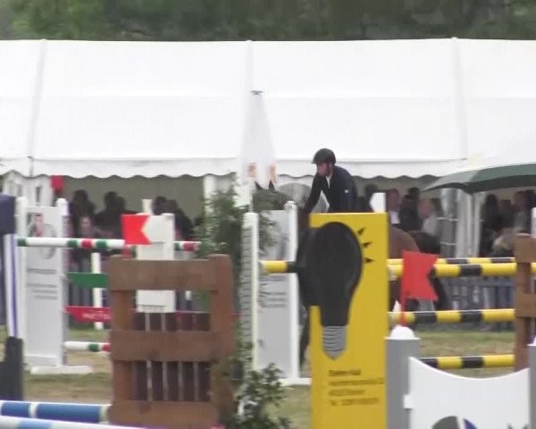 Reitturnier Borken 2016