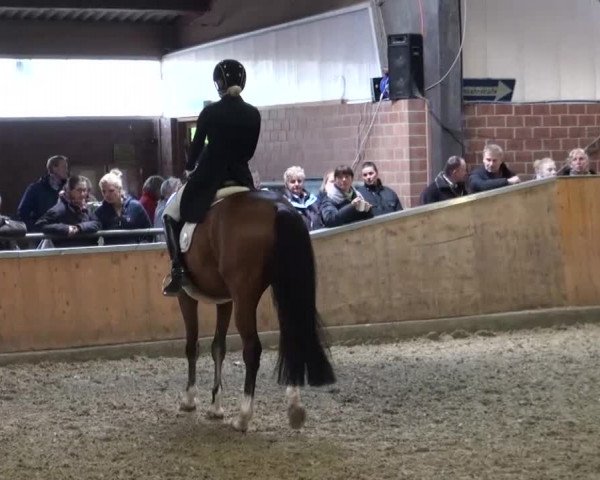 Reitturnier Iserlohn-Kalthof 2016