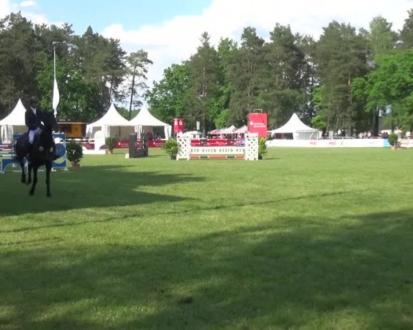 Reitturnier Cottbus-Sielow 2016