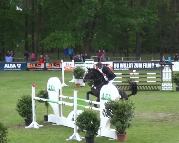 Reitturnier Cottbus-Sielow 2016